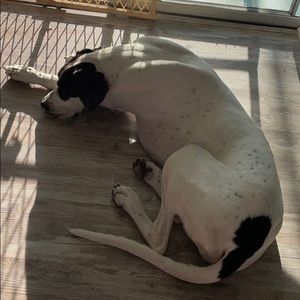 Meet your Posher, Hope